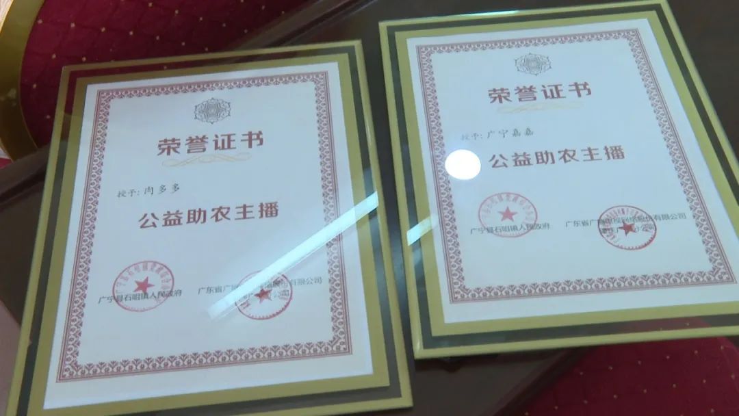 廣東廣電網(wǎng)絡(luò)：智慧廣電網(wǎng)絡(luò)平臺(tái)，開啟廣寧農(nóng)產(chǎn)品銷售新格局
