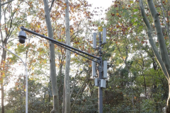 5G新基建如何快速規(guī)模布局？